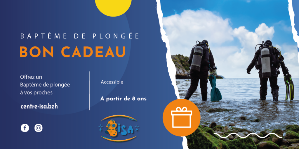 Bon cadeau bapteme de plongee centre de plongee isa morgat