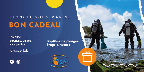 offrez une plongee au centre isa a vos proches