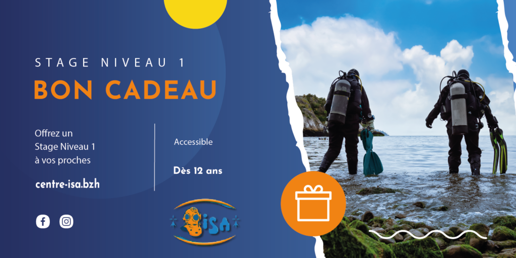 Bon cadeau stage N1 centre de plongee isa morgat