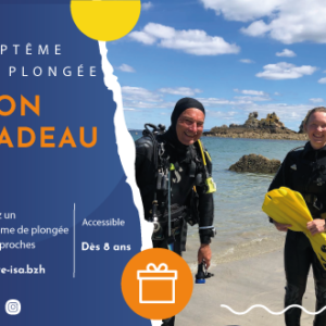 Bon cadeau bapteme de plongee centre de plongee isa morgat