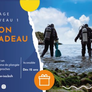 Bon cadeau stage N1 centre de plongee isa morgat